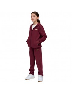 CHANDAL PUMA HOODED SWEA METALIC GRANATE 689729-96