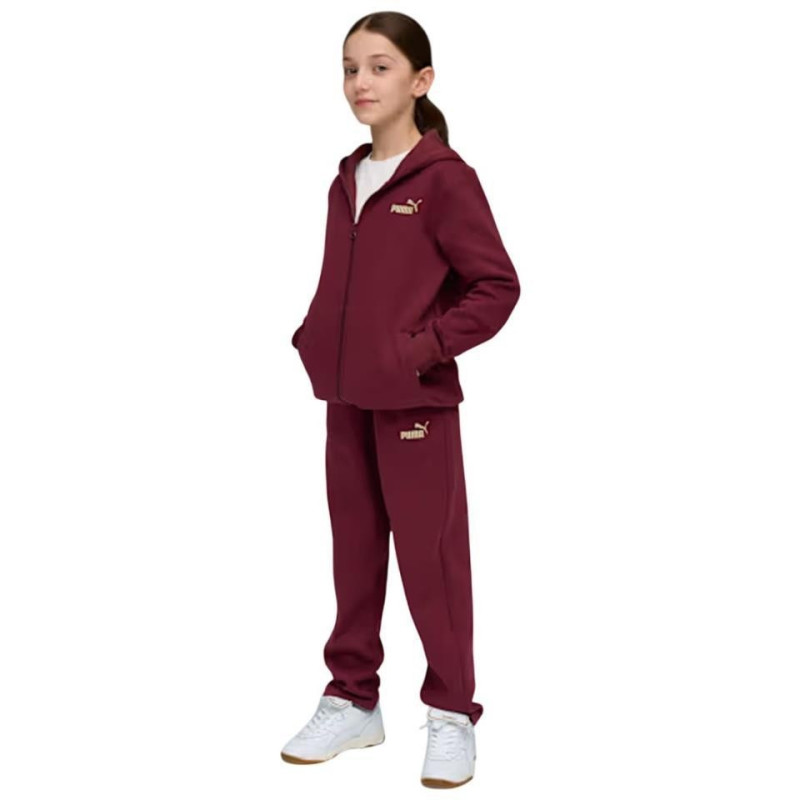 CHANDAL PUMA HOODED SWEA METALIC GRANATE 689729-96