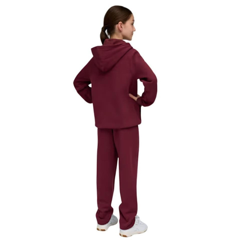 CHANDAL PUMA HOODED SWEA METALIC GRANATE 689729-96