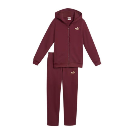 CHANDAL PUMA HOODED SWEA METALIC GRANATE 689729-96