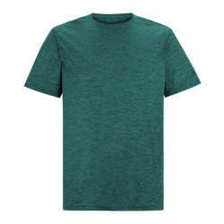 CAMISETA REGATTA FINGAL EDITION VERDE RMT237-ZM7
