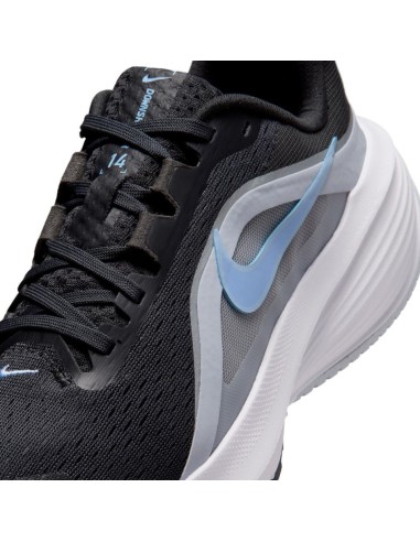 ZAPATILLAS NIKE DOWNSHIFTER 14 NEGRO IB1899-004