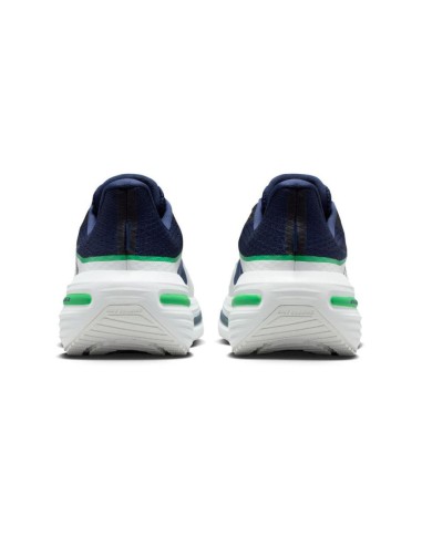 ZAPATILLAS NIKE WINFLO 12 MULTICOLOR HV9272-401