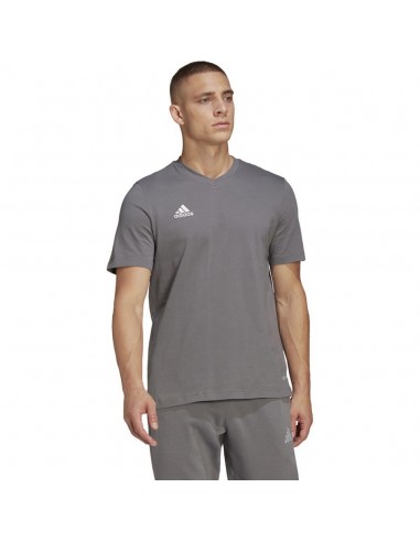 CAMISETA ADIDAS ENT22 TEE GRIS HOMBRE HC0449