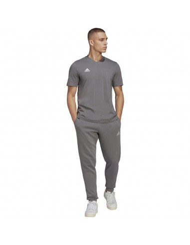 CAMISETA ADIDAS ENT22 TEE GRIS HOMBRE HC0449